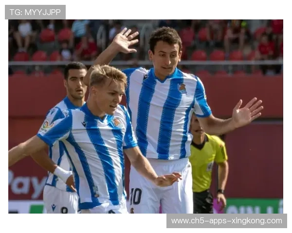 皇家社会冬窗租借策略全解析：深度补充，势在必行